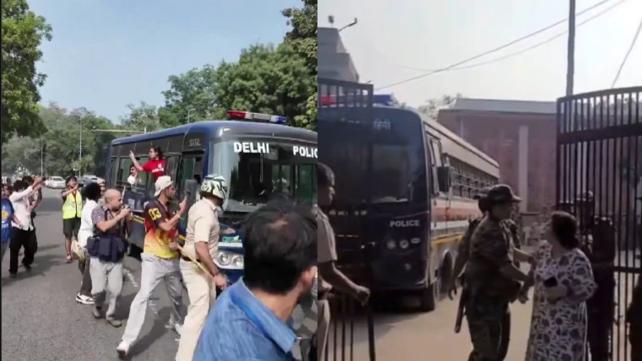 ‘Right to Peaceful Assembly Guaranteed’: India Calls Out OHCHR