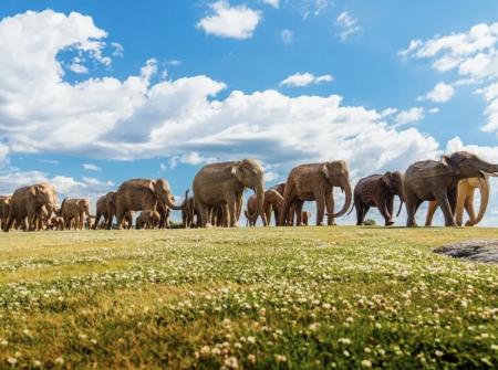 Beyond The $5 Trillion Horizon: Navigating The Next Leap Of The Indian Elephant