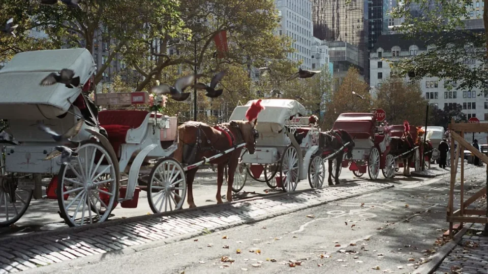 New York to Phase Out Horse-Drawn Carriages by 2028 Under Law Honouring Indian Tourist