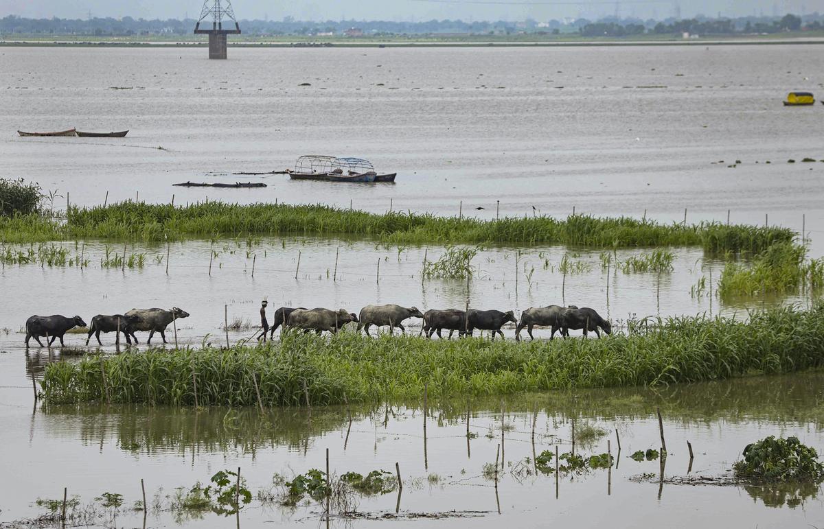 Ganga's Five-Year Floodplain Rule Put Under Legal Test