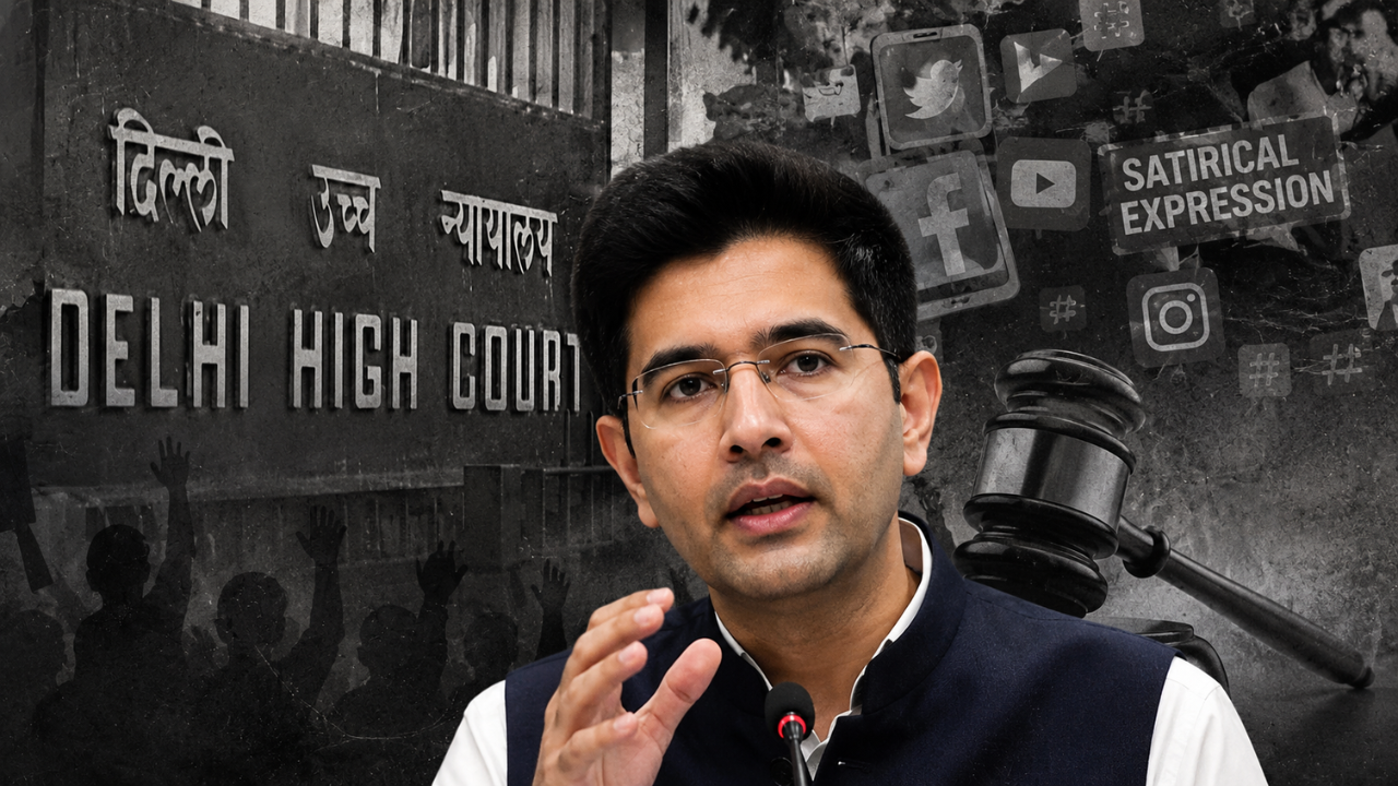 'Public Figure Should Not Be So Thin-Skinned': Delhi HC on BJP Leader Raghav Chadha's Plea