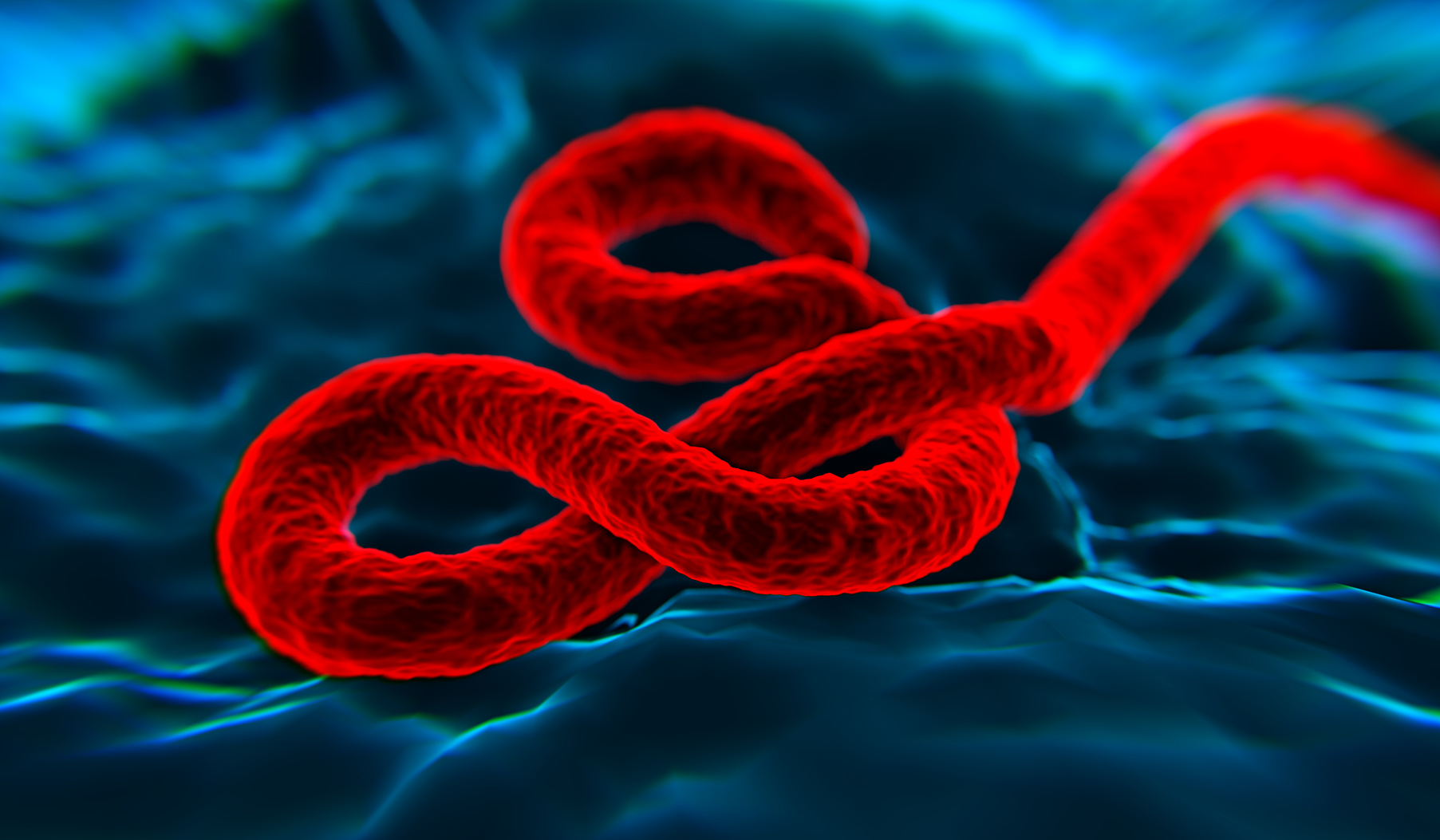 India Issues Ebola Advisory for Travelers Arriving From High-Risk African Nations