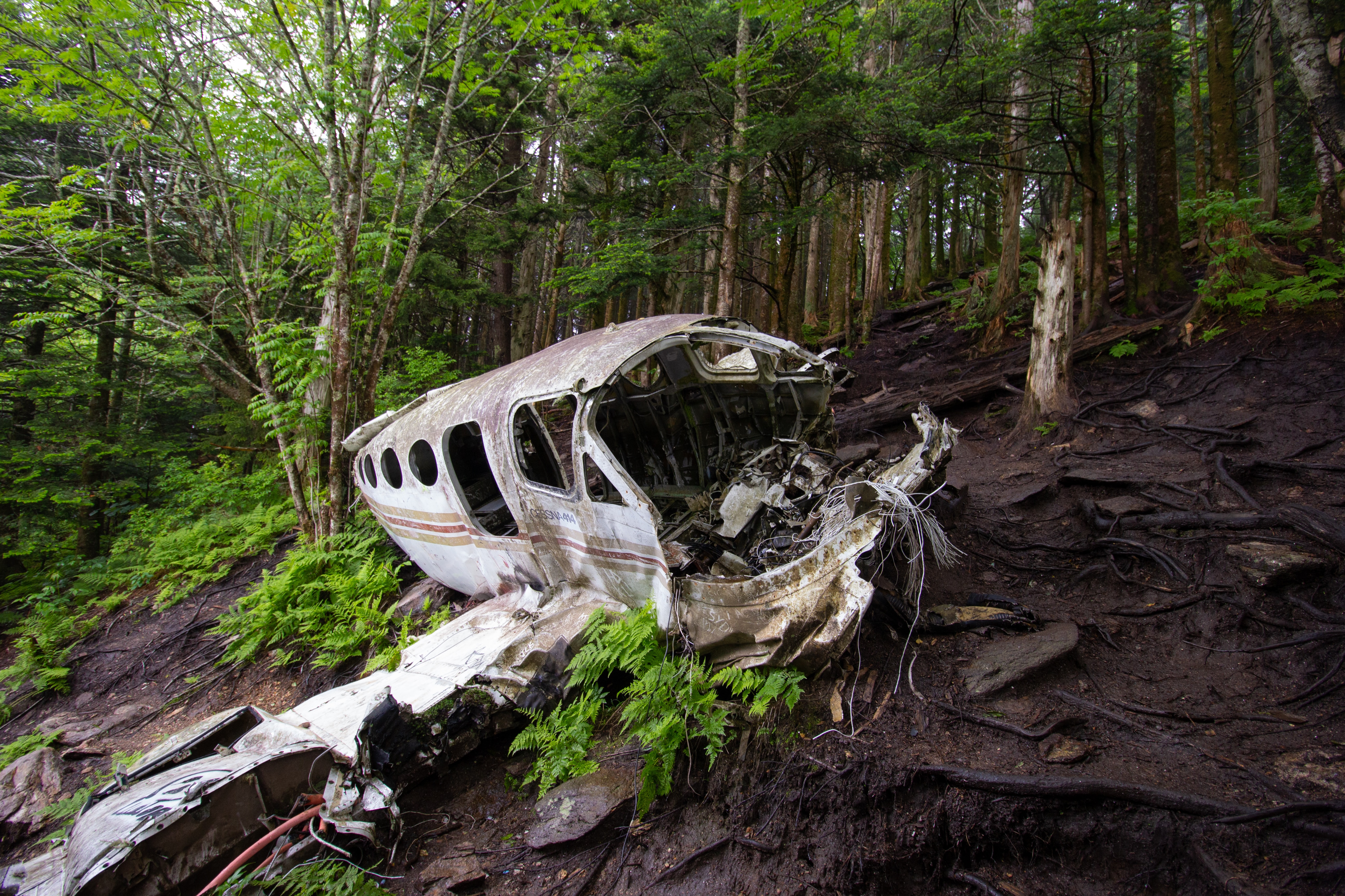 'Fell Almost Vertically': The Plane Crash That Killed All 11 on Board in Northeastern France