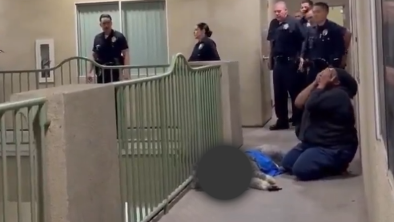 Dog Wearing Knicks Jersey Killed by LAPD Officer Who 'Didn't Want to Risk Being Bitten' | VIDEO