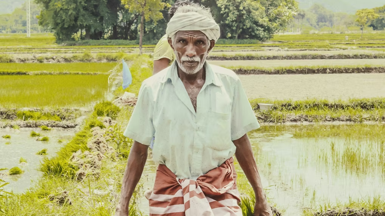 AI Meets Agriculture: Govt Highlights WhatsApp Advisory for Oilseed Farmers