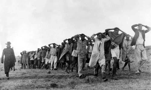 The British Reckoning: When the "Old Boys’ Club" Met the Digital Guillotine